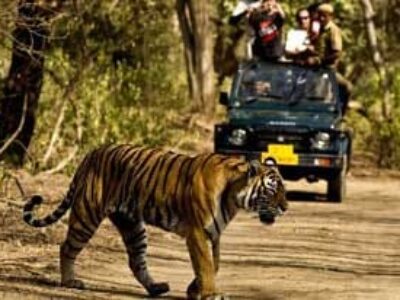 Kaziranga1